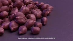Seed Protocol - Dynamical Lunar Indigenous Time (DLITE) 43:28:22.0004124 #30 thumbnail