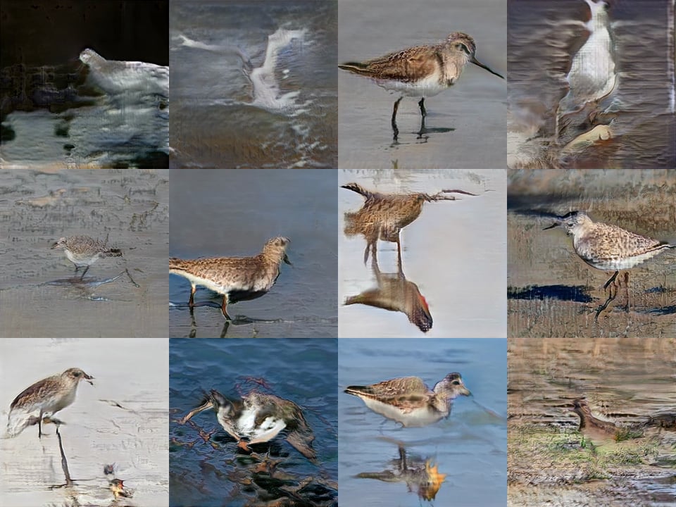 CUSP - Marsh Birds by Jake Elwes
