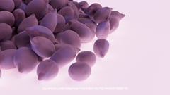 Seed Protocol - Dynamical Lunar Indigenous Time (DLITE) 43:28:22.0004124 #51 thumbnail