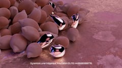 Seed Protocol - Dynamical Lunar Indigenous Time (DLITE) 43:28:22.0004124 AE thumbnail