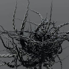 Braiding Rage 怒辫 thumbnail
