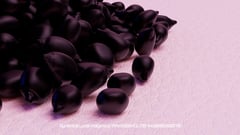 Seed Protocol - Dynamical Lunar Indigenous Time (DLITE) 43:28:22.0004124 #22 thumbnail