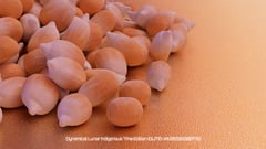 Seed Protocol - Dynamical Lunar Indigenous Time (DLITE) 43:28:22.0004124 #52 thumbnail