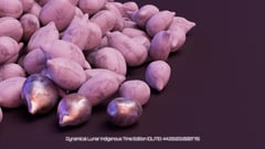 Seed Protocol - Dynamical Lunar Indigenous Time (DLITE) 43:28:22.0004124 AE thumbnail
