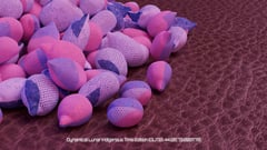 Seed Protocol - Dynamical Lunar Indigenous Time (DLITE) 43:28:22.0004124 #67 thumbnail