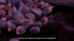 Seed Protocol - Dynamical Lunar Indigenous Time (DLITE) 43:28:22.0004124 #84 thumbnail