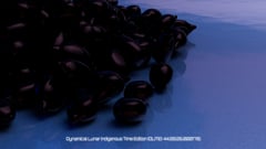 Seed Protocol - Dynamical Lunar Indigenous Time (DLITE) 43:28:22.0004124 #20 thumbnail
