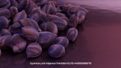 Seed Protocol - Dynamical Lunar Indigenous Time (DLITE) 43:28:22.0004124 #83 thumbnail