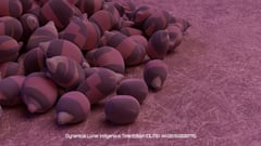 Seed Protocol - Dynamical Lunar Indigenous Time (DLITE) 43:28:22.0004124 #12 thumbnail