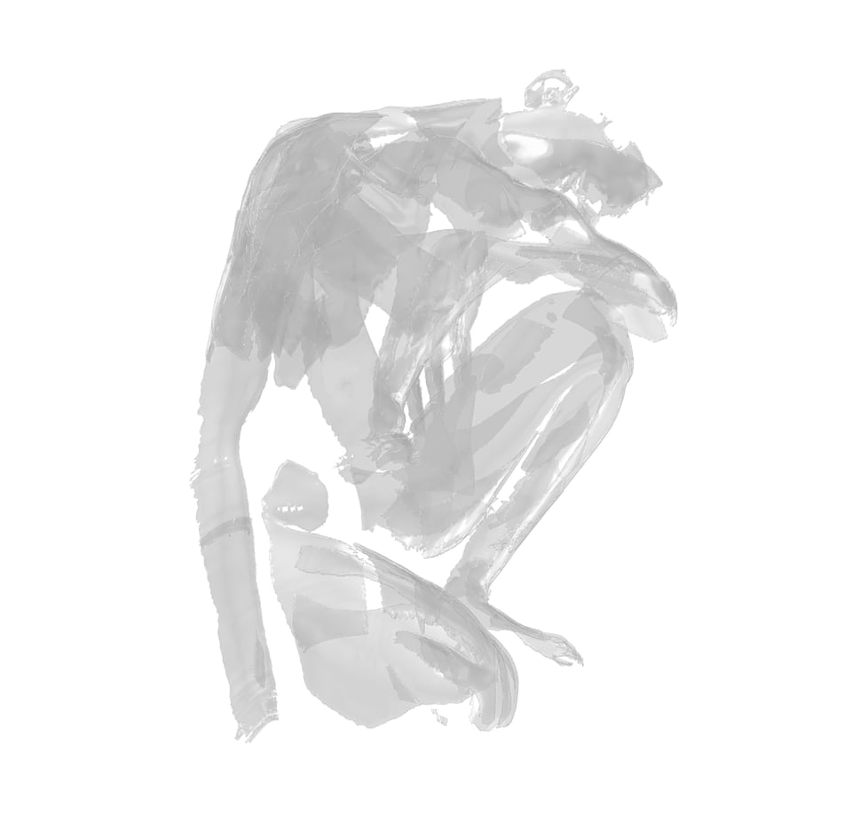 Spectrality (from The Divers, IX) by Sophie Kahn