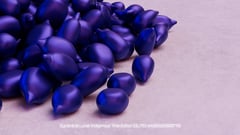 Seed Protocol - Dynamical Lunar Indigenous Time (DLITE) 43:28:22.0004124 #62 thumbnail