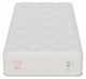 Traditional, Organic & Latex, Pocket Coil, Twin XL Size Mattress, Evergreen Mattress Sale, Buy in Toronto, Mississauga, Markham or Online-2