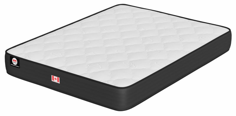 NM HD 10" Extra-Firm Flippable High Density Foam Mattress