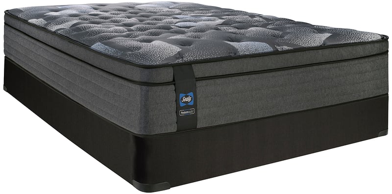 SEALY-ALLISSANDRA-SINGLETWIN-SEALY Posturepedic 800 Series Euro Top Plush Mattress-Single-Twin-A-angle-a