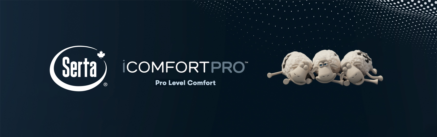 icomfort-pro-latex mattress sale banner