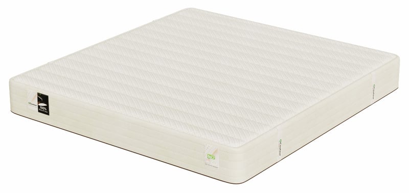 EVERGREEN 100% Certified Organic 10" Medium Firm Latex Mattress - King