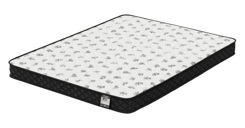 SPRINGWALL® 6" Medium Firm Tight Top Foam Mattress 