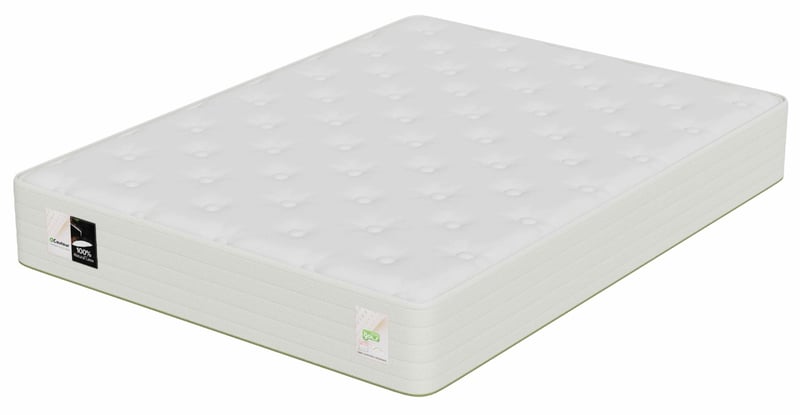 EVERGREEN™ 12" Medium-Firm Organic Latex Foam Mattress - Queen