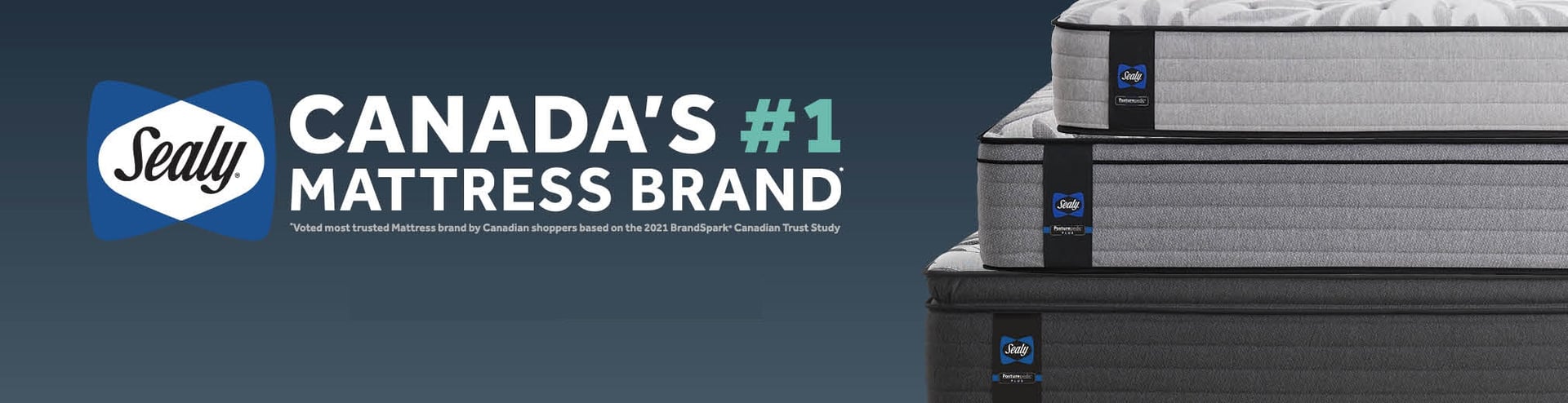 Sealy Mattress Banner National Mattress Outlet