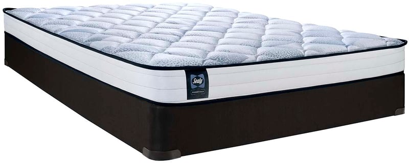 SEALY-JAMIE-QUEEN-SEALY Essentials Tight Top Firm 6 Foam Mattress-Queen-A-angle-a 2