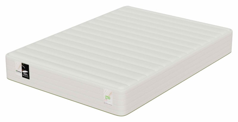 EVERGREEN™ 10" Firm Organic Latex Foam Mattress - Double/Full