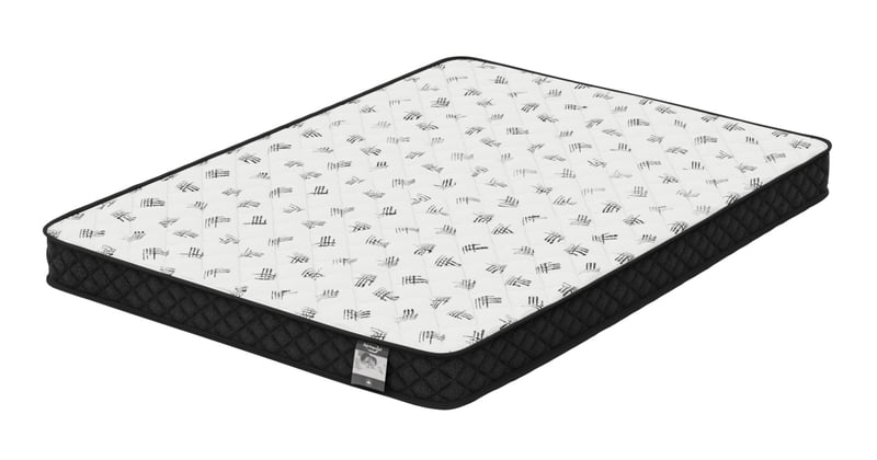 SPRINGWALL® 6" Medium Firm Tight Top Foam Mattress  - Double/Full