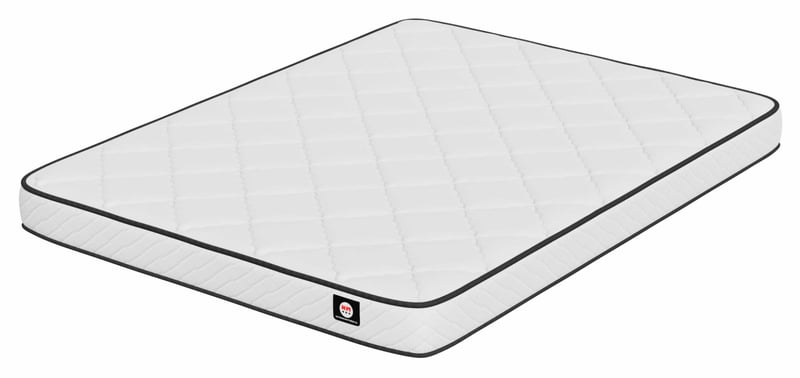 NM 6" Firm Tight Top Foam Mattress