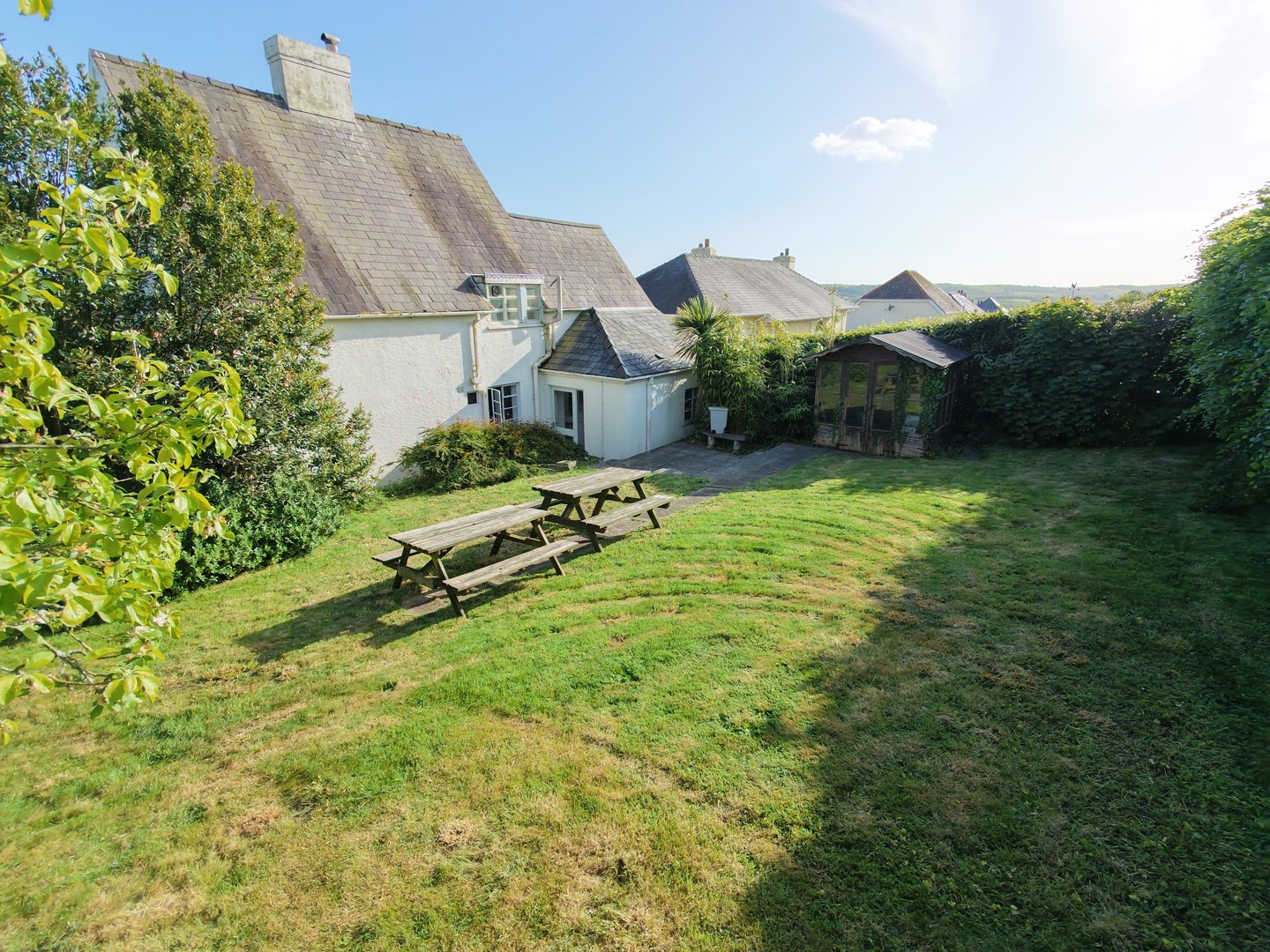 Back lawn before