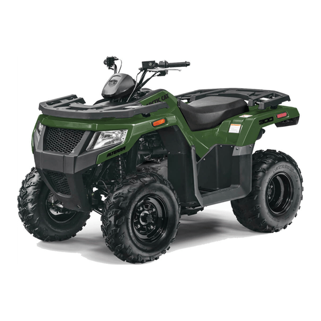2025 Arctic Cat Alterra 300