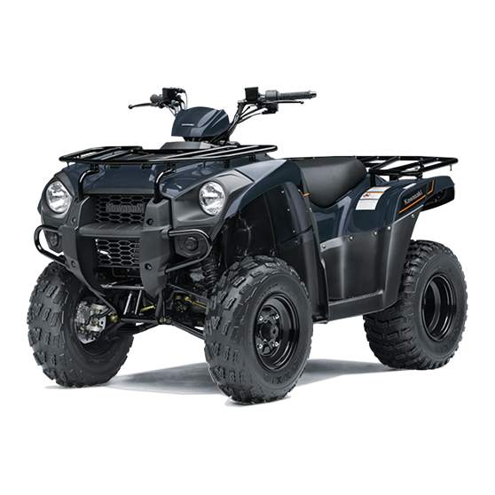 2025 Kawasaki Brute Force 300
