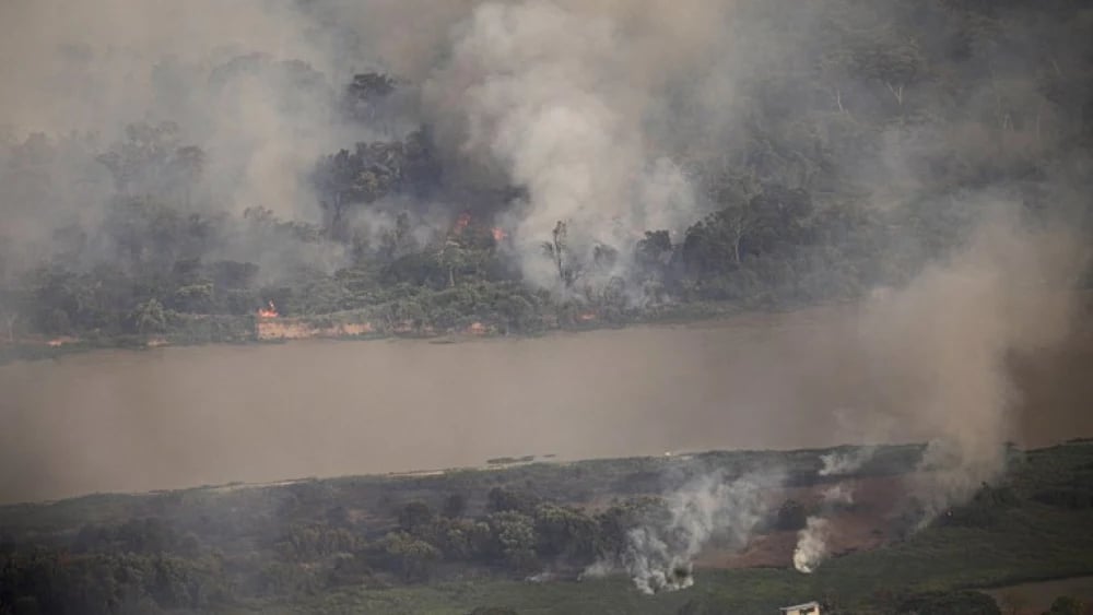 incendio-queimada-floresta-32