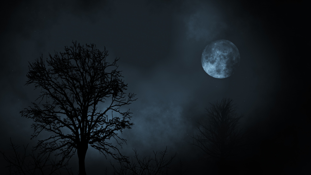 full-moon-at-night-rising-between-evergreen-tree-forest-with-clouds