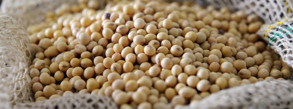 soja_grao_-_Gil_Leonardi_-_Imprensa_MG