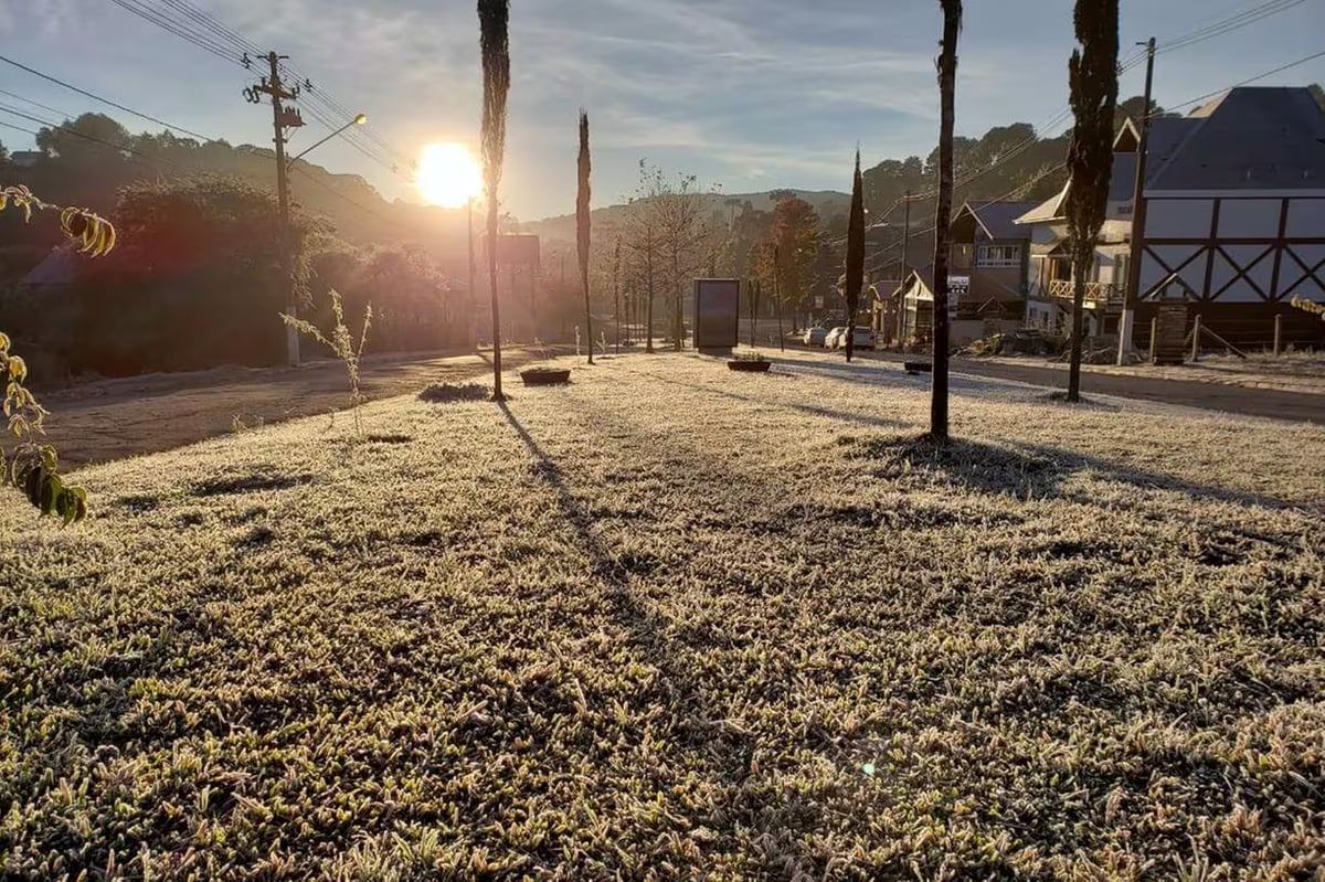 monte-verde-23c60e454a