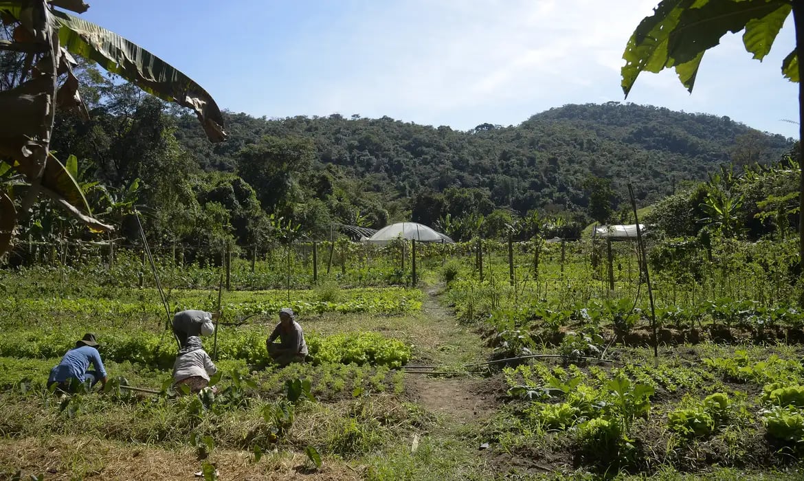 produtor_rural_05071918437