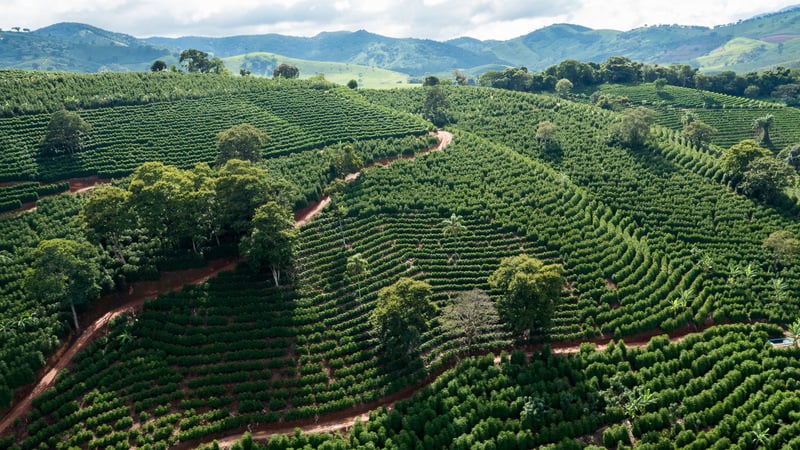 agro_divulgacao_seapa