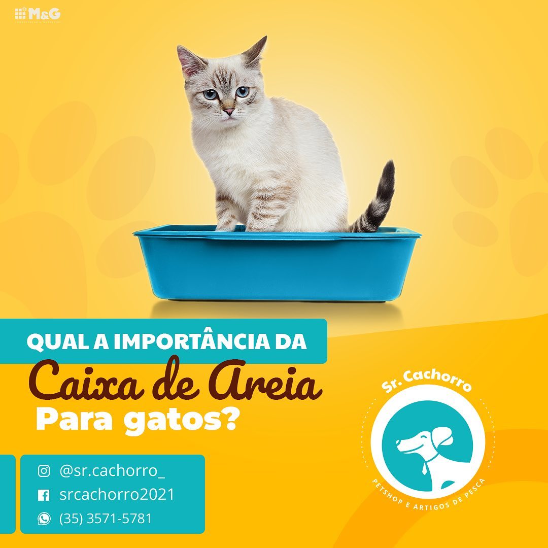 SrCachorroCxAreia