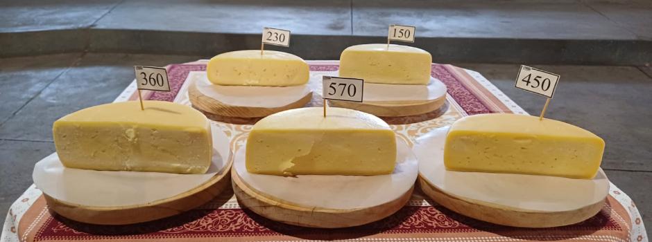 Queijo_Canastra_1