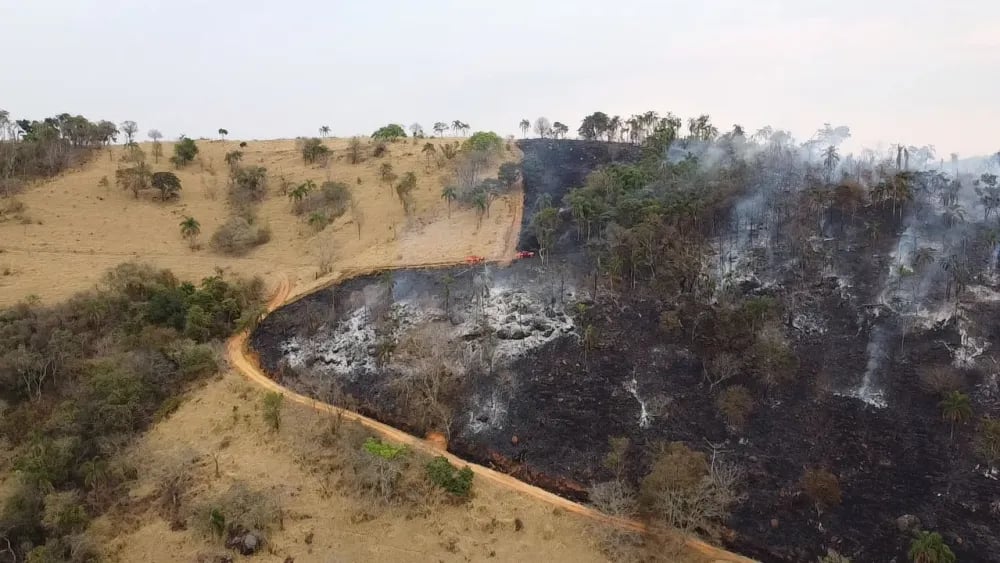 fogo-queimada-incendio-11