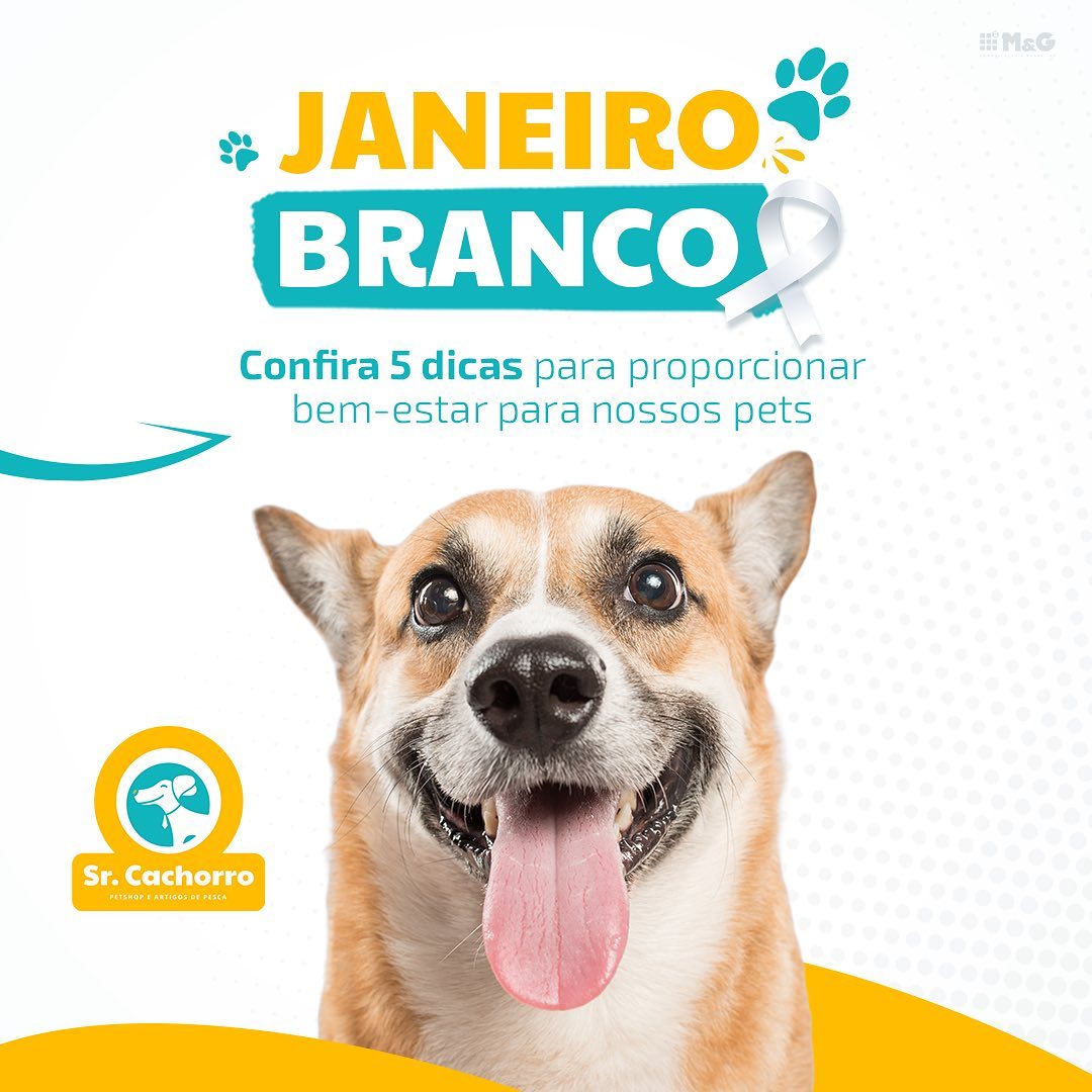 JaneiroBco5dicas