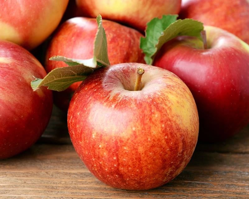 pr-tn-fruit-apple