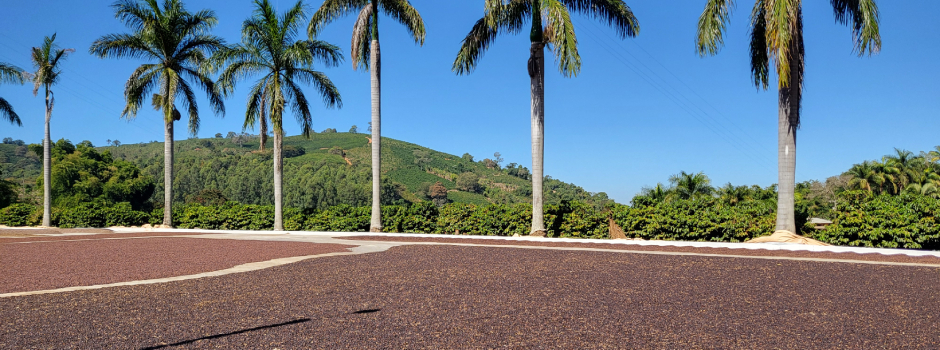 fazenda-das-almas-foto-fernanda-fabrino