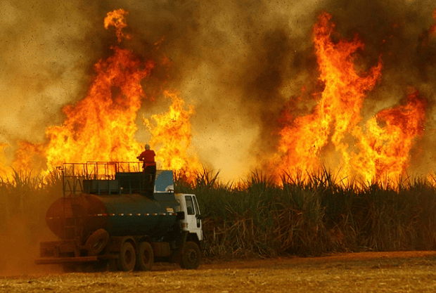 queimada-incendio-239328