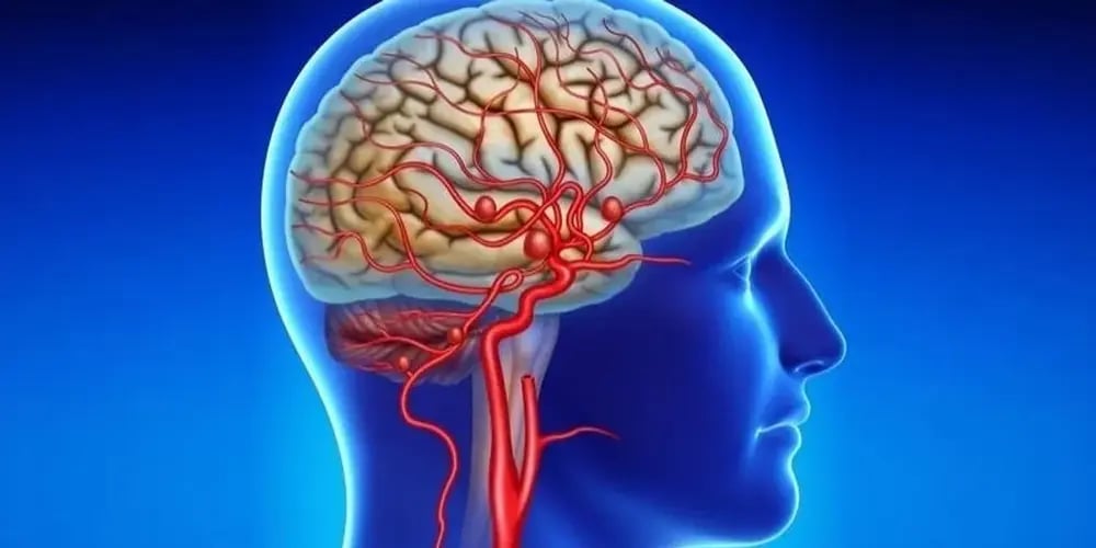 ezgif-6e18b8b7d64d6a