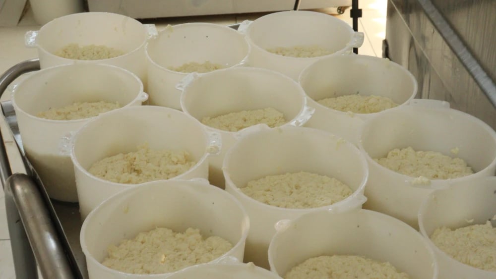 15235179648197451235417925612313561203