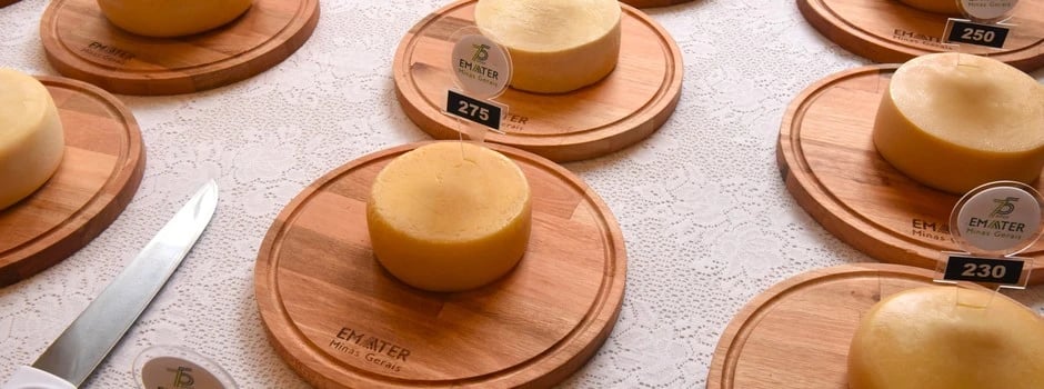 queijo-31282y53