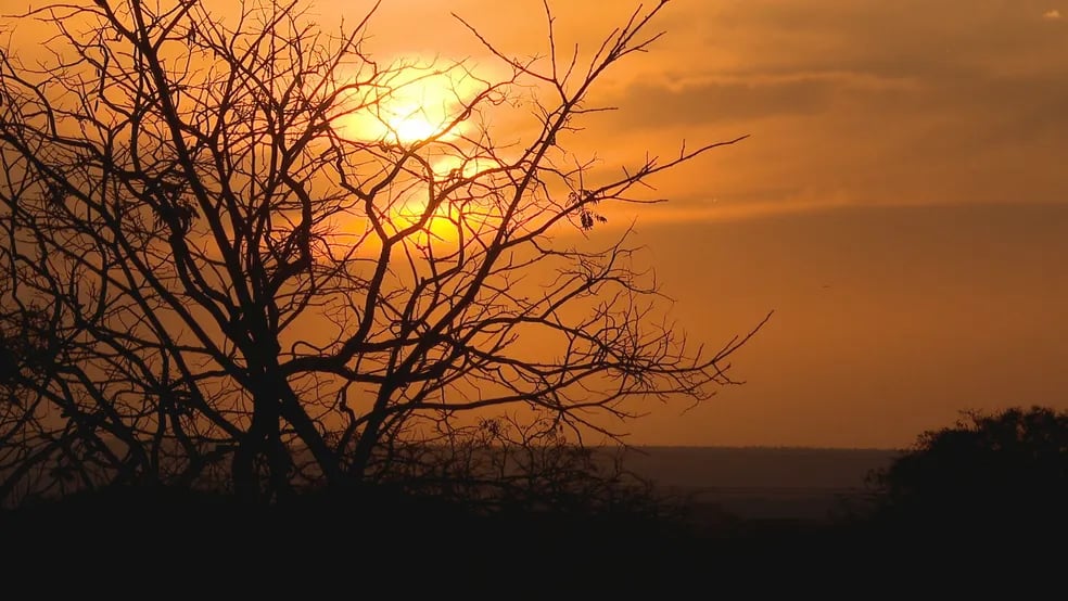 tempo-seco-sol-calor-3489
