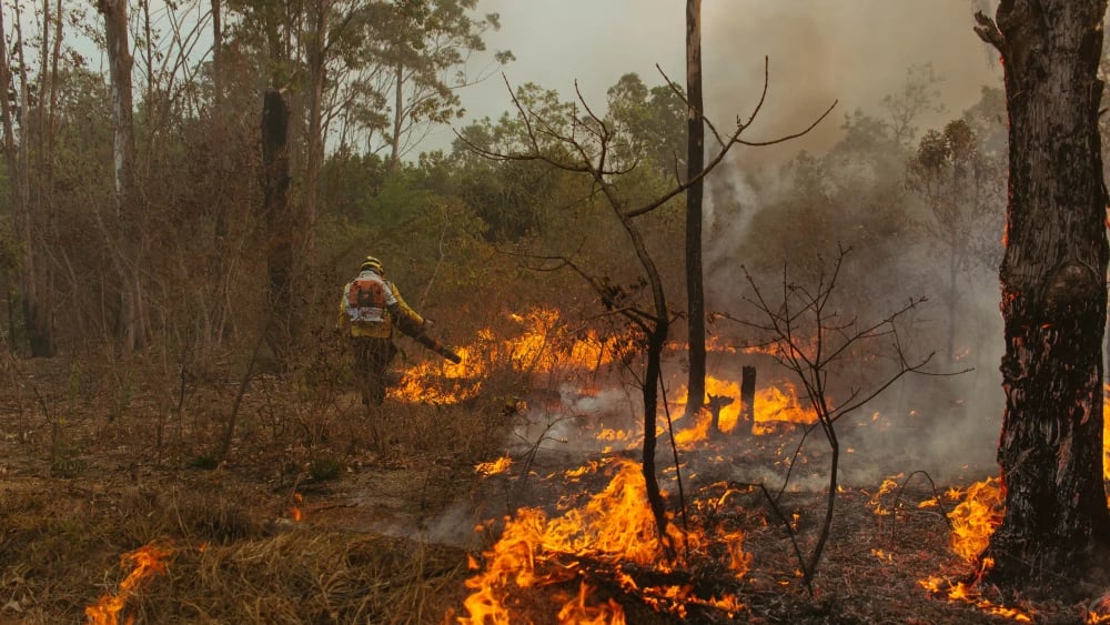 queimada-incendio-fogo-39