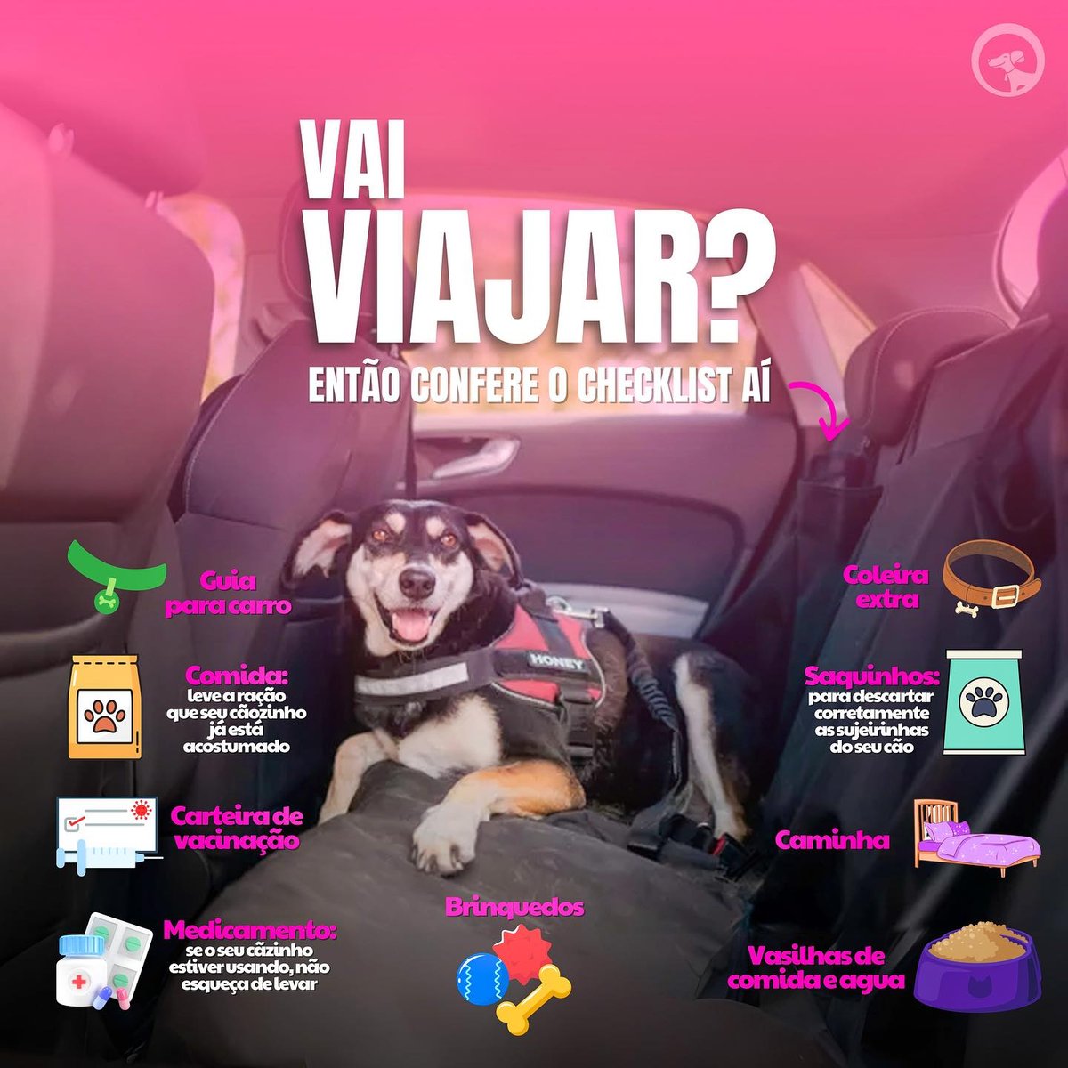 ViajarSrCao