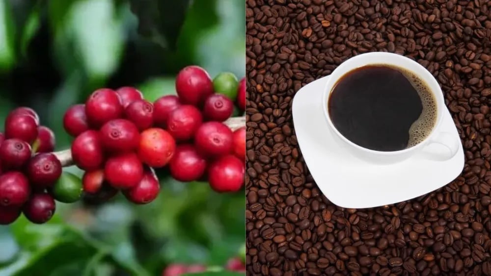 café-coffee-38838